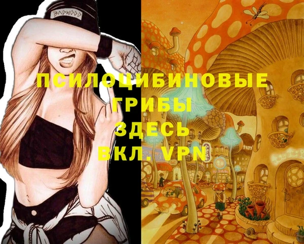 таблы Богородицк
