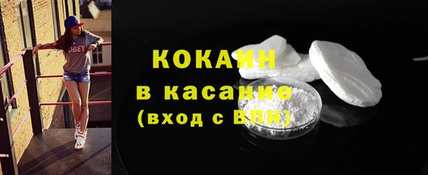 таблы Богородицк