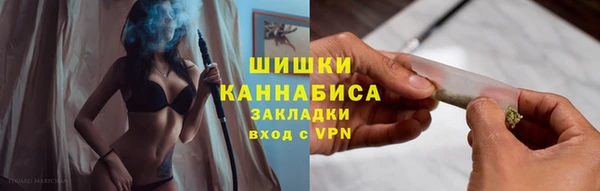 таблы Богородицк