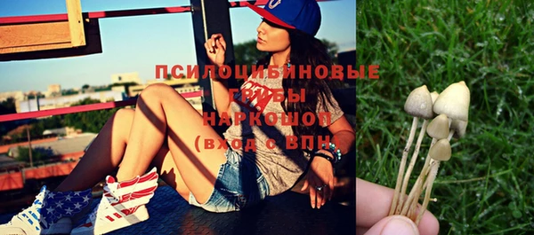 таблы Богородицк