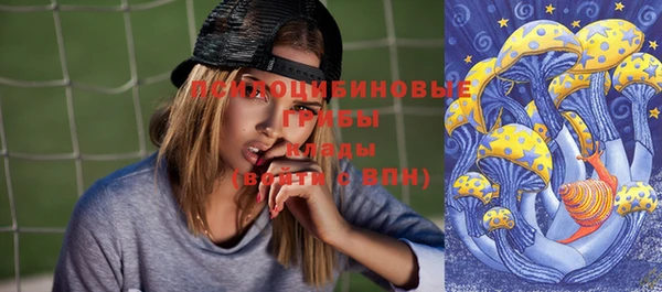 тгк Богданович