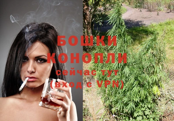 тгк Богданович
