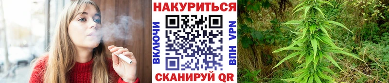 Каннабис OG Kush Тихорецк