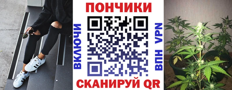 где продают наркотики  Тихорецк  Канабис AK-47 